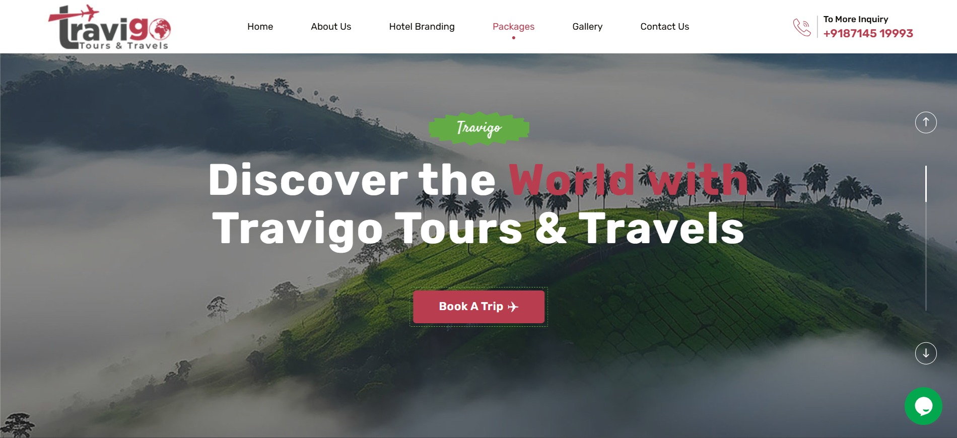Travigo Tours website project